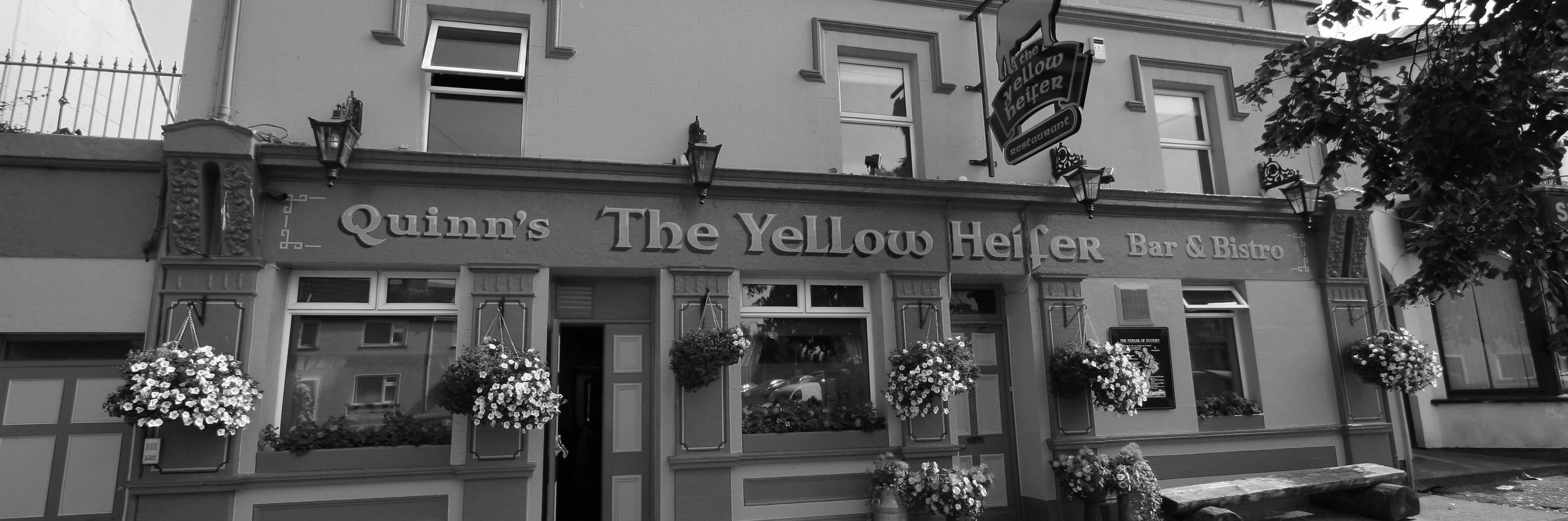 YellowHeifer's profile banner image