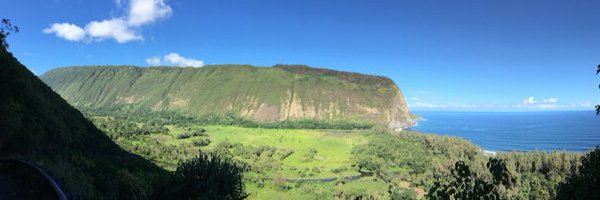 tasmin_dhaliwal Profile Banner