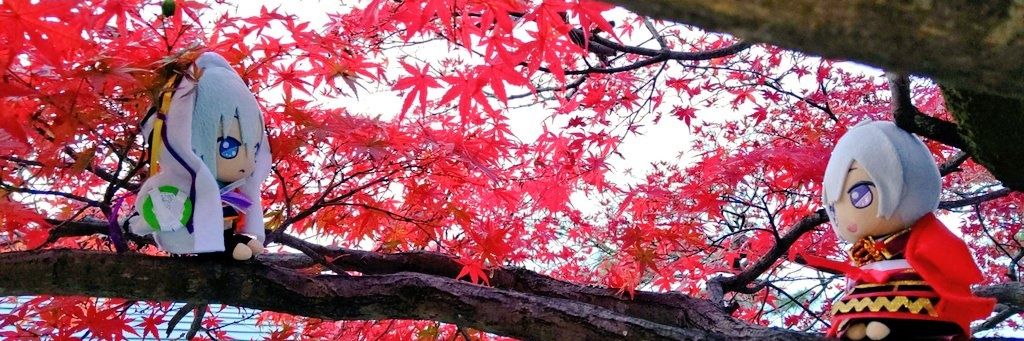 Machi_forM's profile banner image