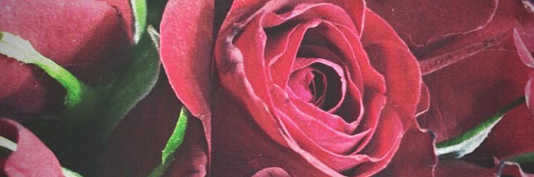 marieem95b's profile banner image