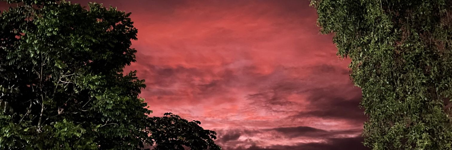 Miila_Sb's profile banner image