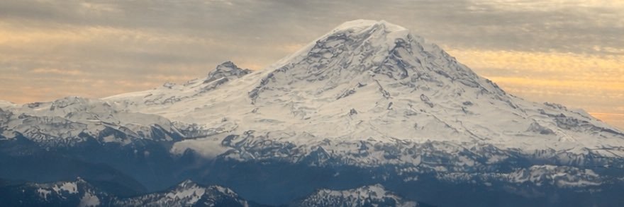 ryan banner
