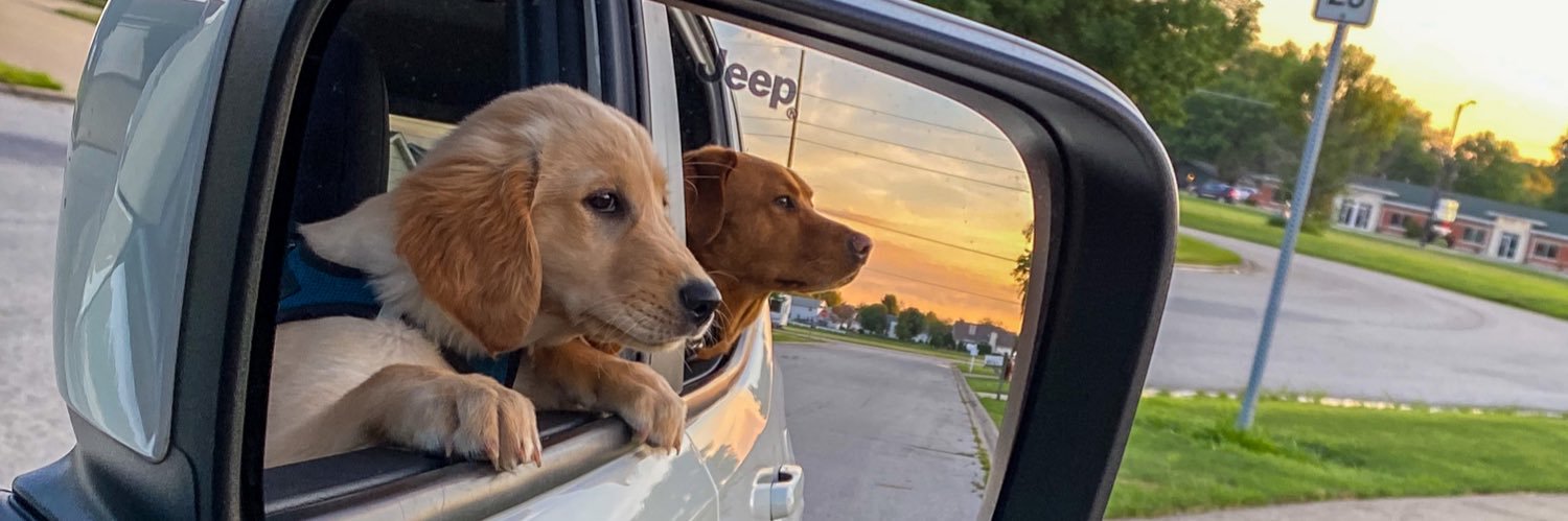 blaynedayhoff's profile banner image