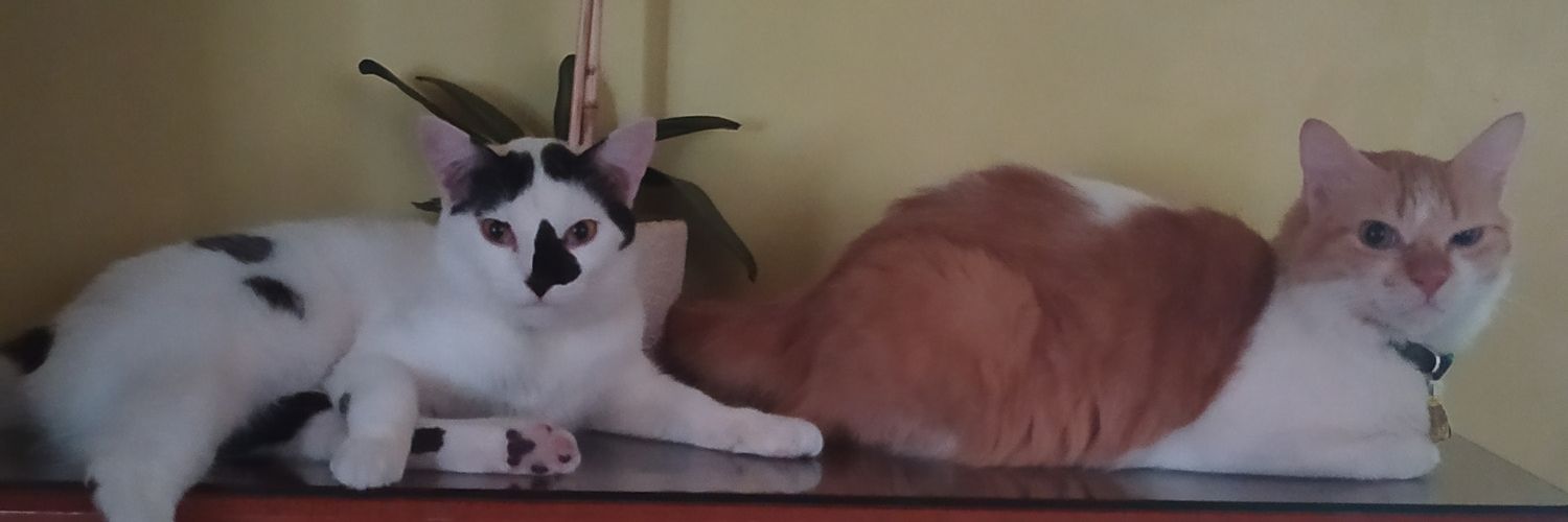alexprzzz's profile banner image