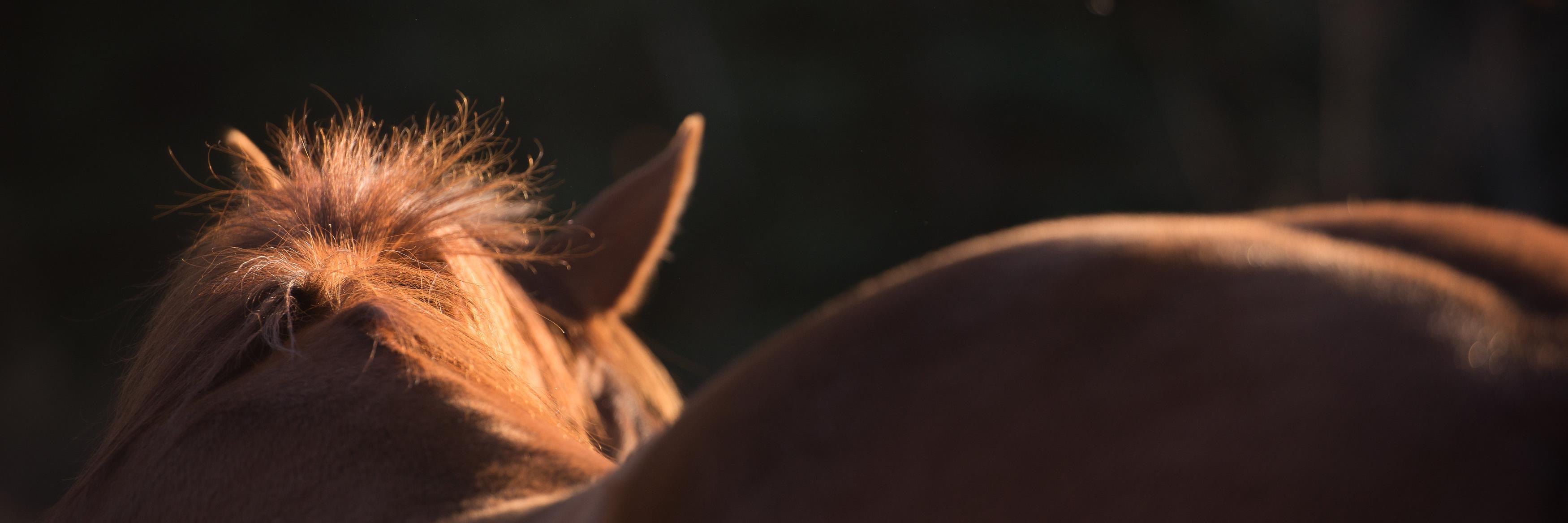 heardwellnessAM's profile banner image
