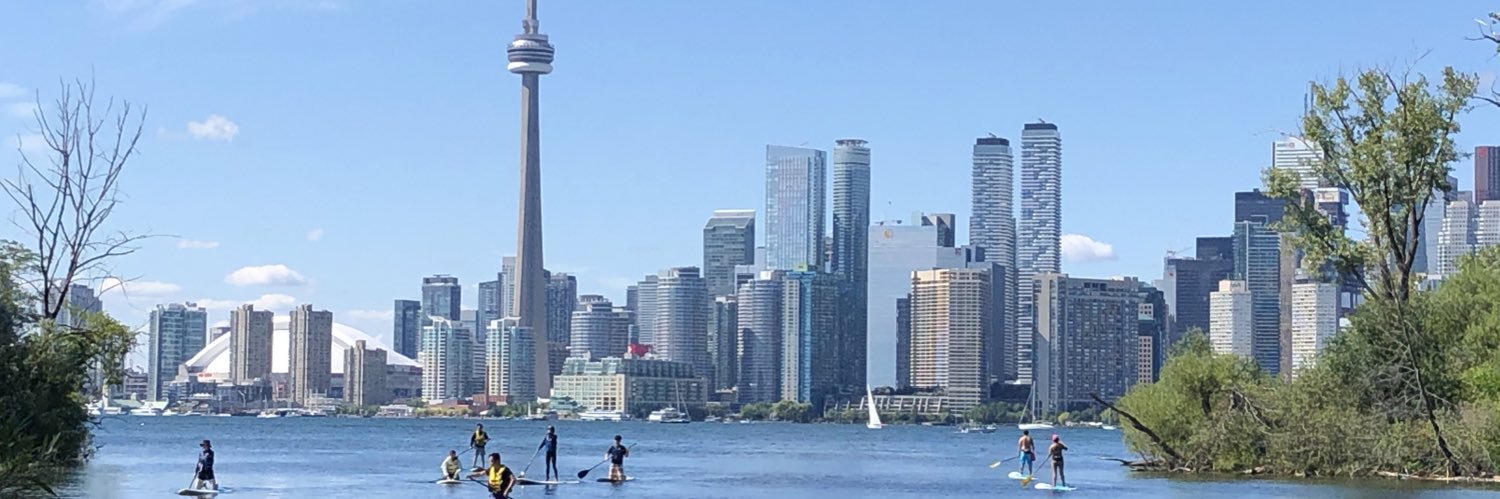 Laura Nesteanu banner