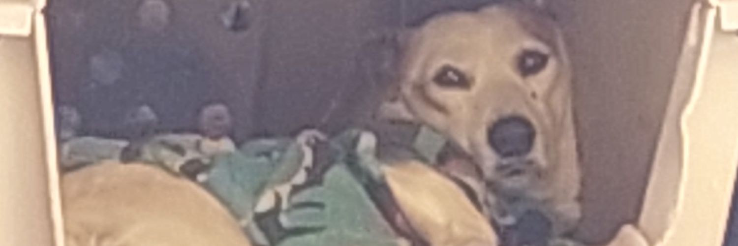 Felix16_99's profile banner image