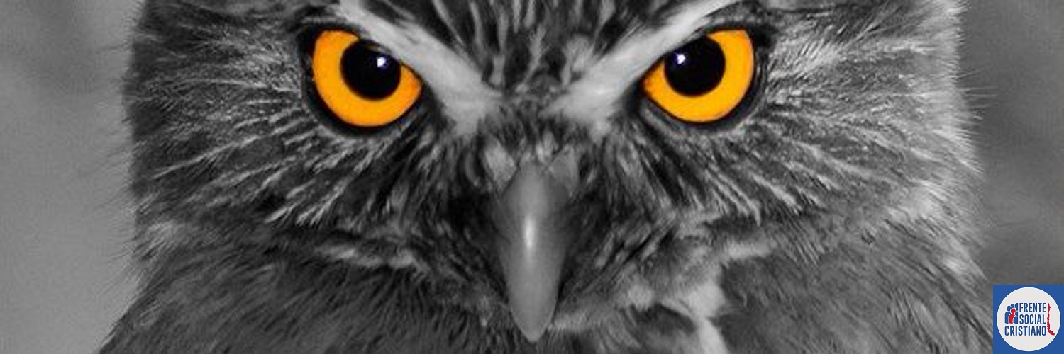 Nancho765's profile banner image