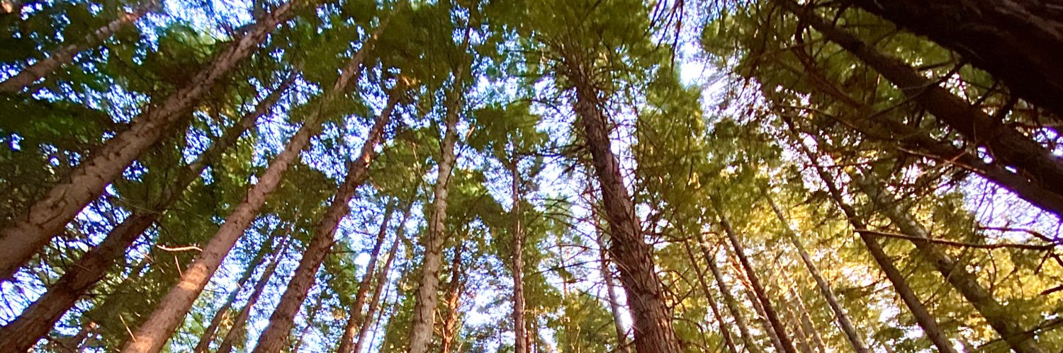 nadine foster 🇨🇦 banner