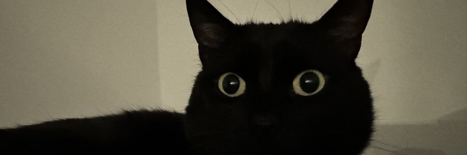 ghostlygothx's profile banner image