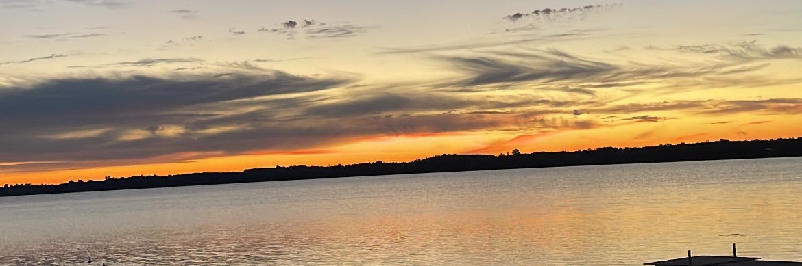 reneefinlayy's profile banner image