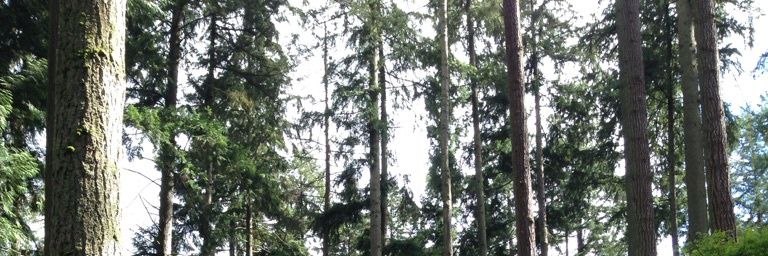 BEBouchard's profile banner image