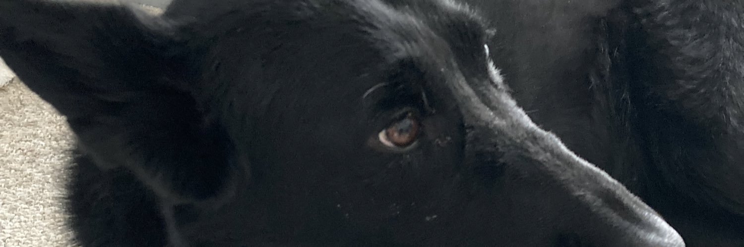 j zee banner