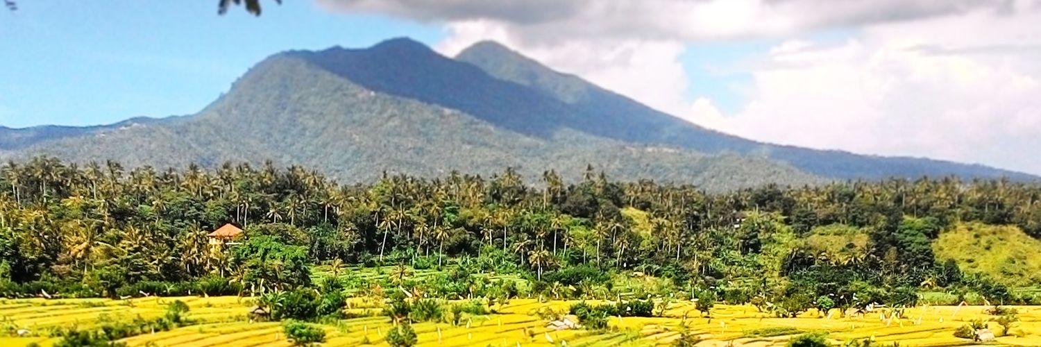 KetutPanjul's profile banner image