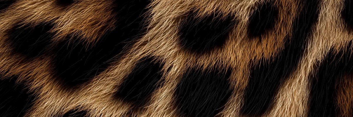 TheAshleyCo_'s profile banner image