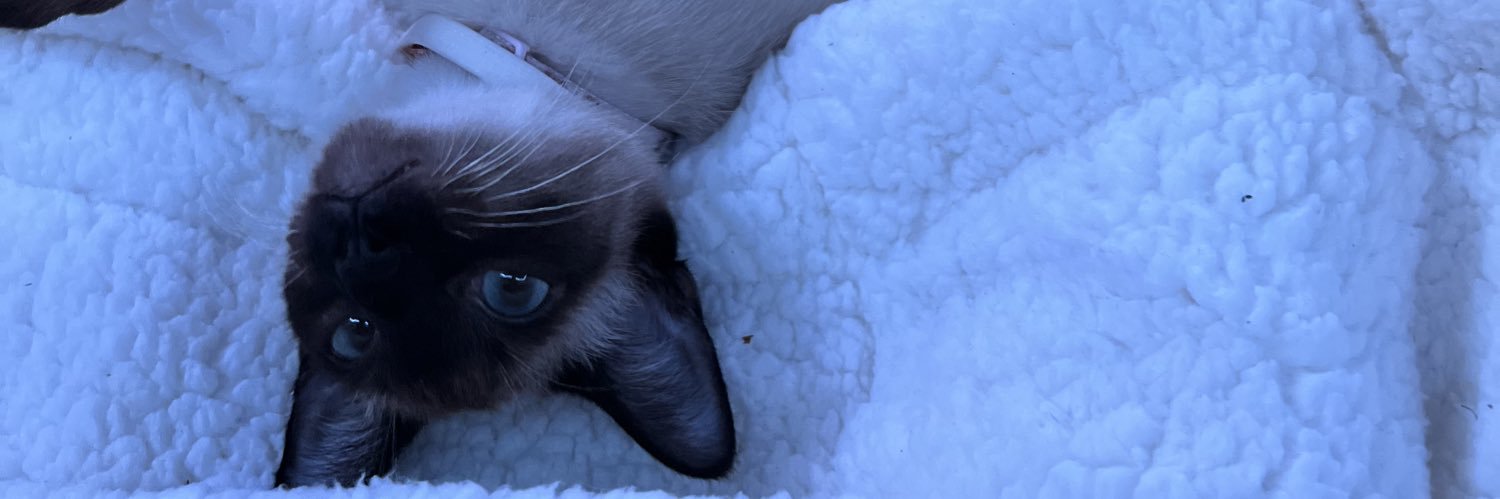 emmakittyy's profile banner image