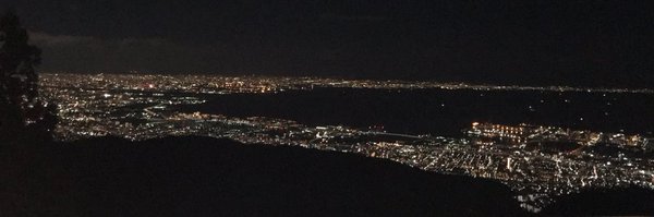 ailurophi Profile Banner