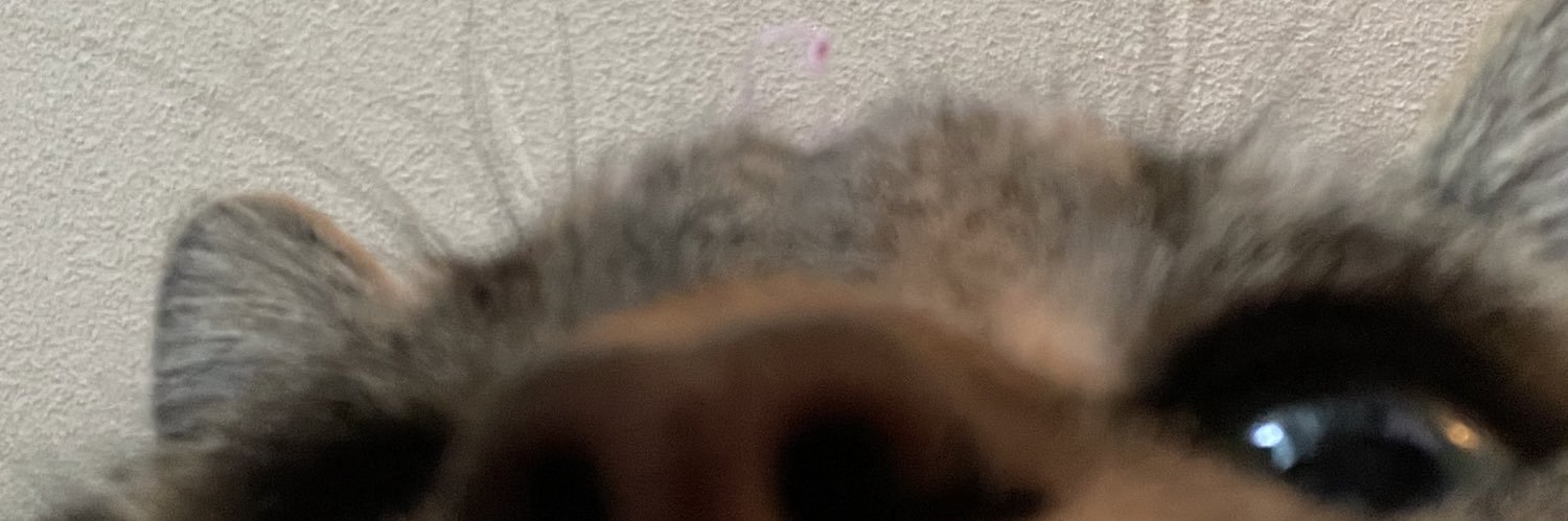meganmarbs's profile banner image