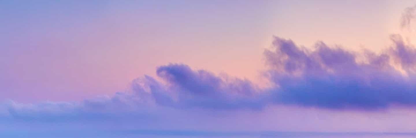 so simple 🖤🌳 banner