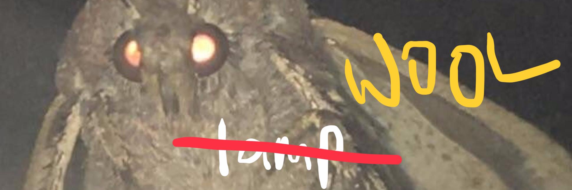 lady_vcbeth's profile banner image