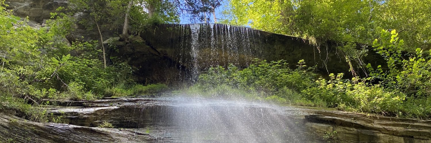 Donnette Plunkett banner