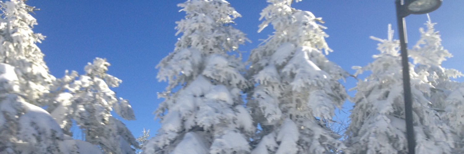 MLeskowyak's profile banner image