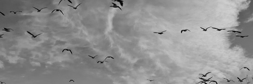 nhhhr2015's profile banner image