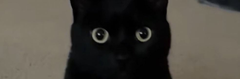 lexabigsad's profile banner image