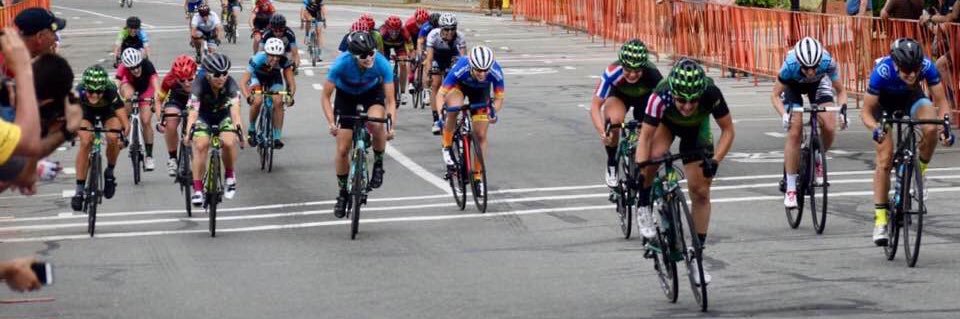 Colleen Gulick banner