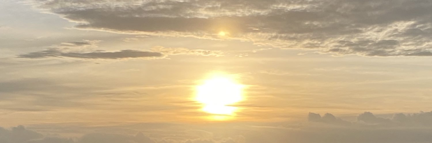LiliGarMont's profile banner image