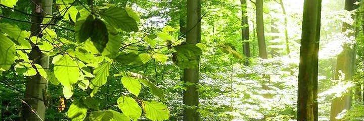 may43465's profile banner image