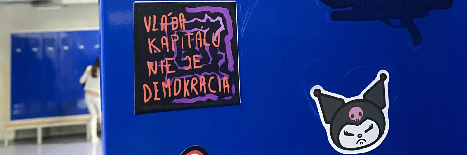 mesarosovaa's profile banner image