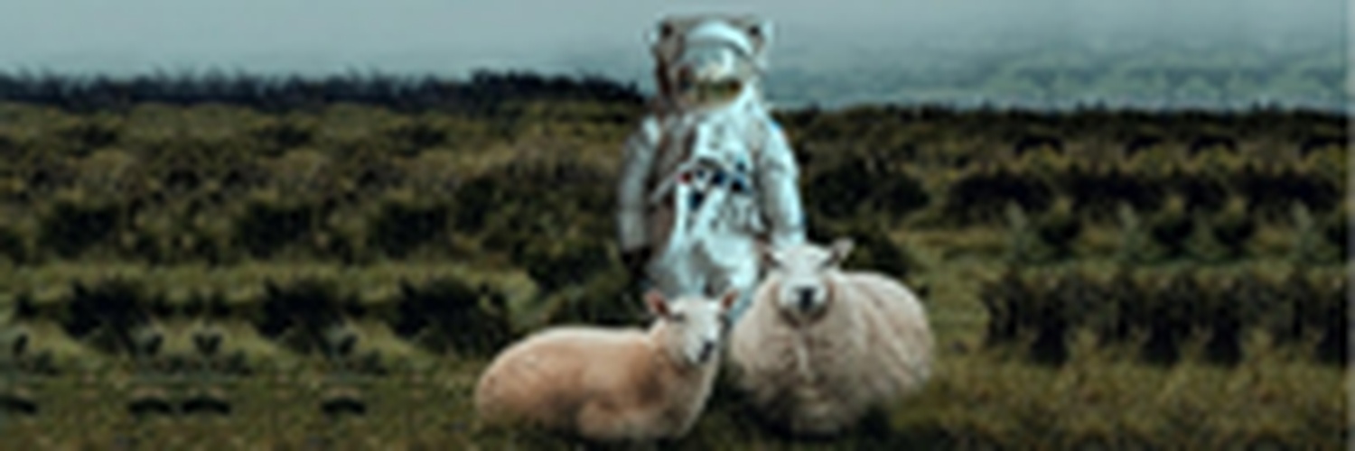 Nick “Flash” Fulton banner