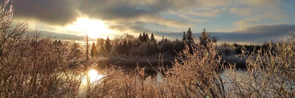 sumitra_lad Profile Banner