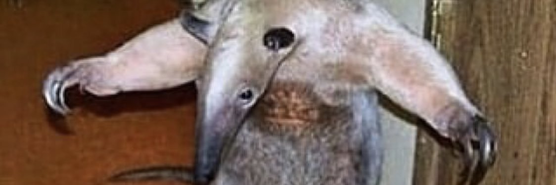 SandingBoy_'s profile banner image