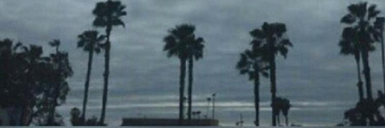 Amanda Benson banner