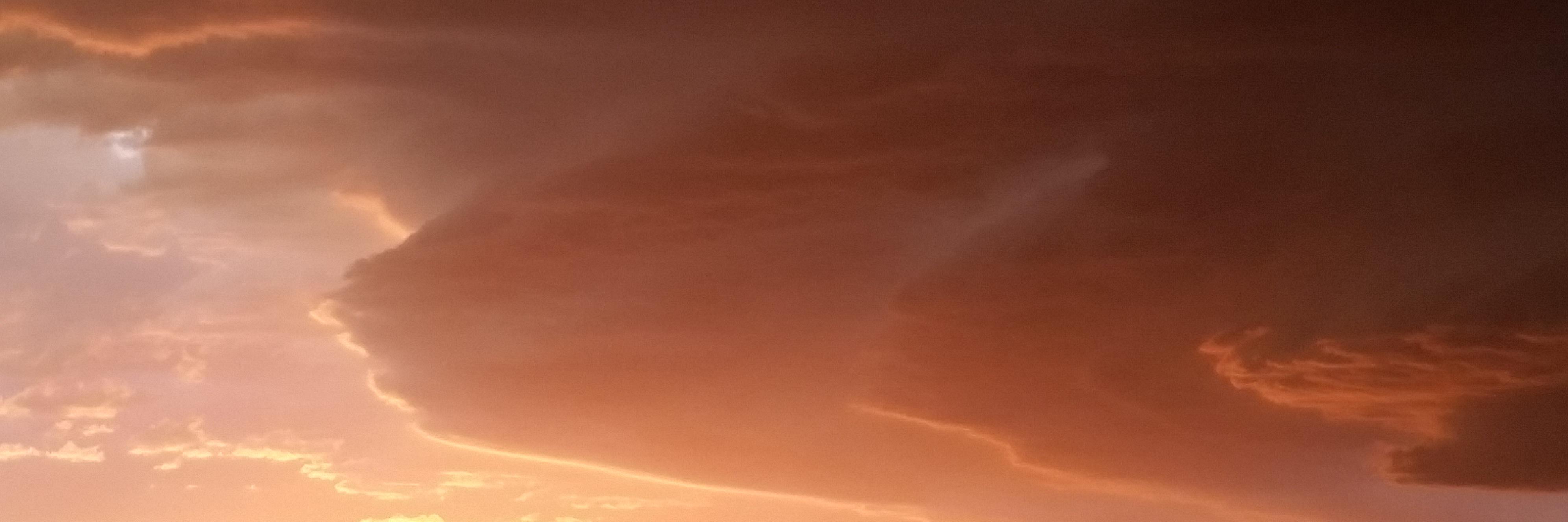 MicheleSMZ's profile banner image