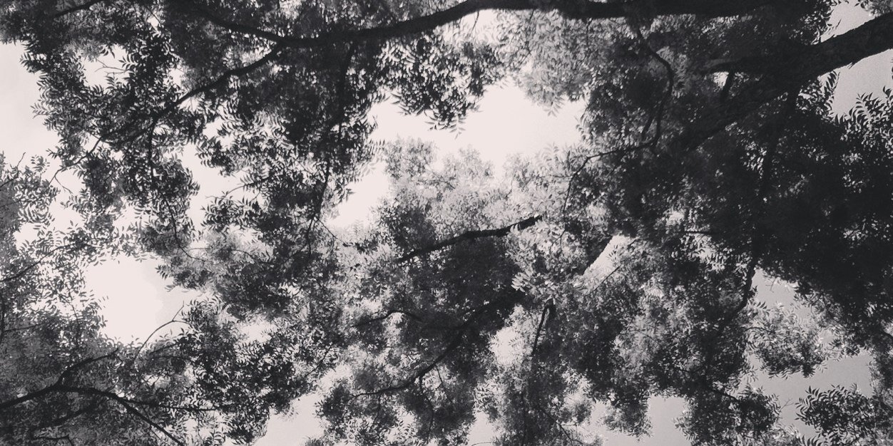 HannahBThornton's profile banner image