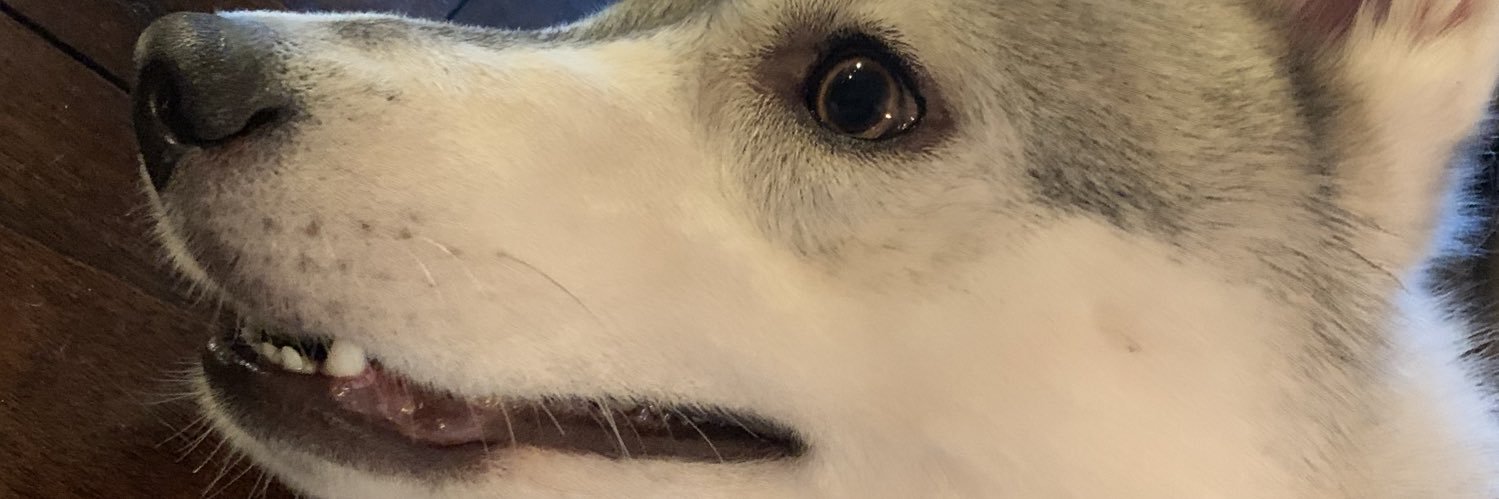 morgiwalk's profile banner image