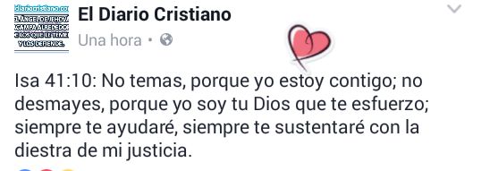 Pri scila🌸 banner