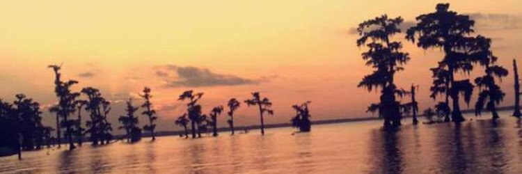 d_vickk's profile banner image