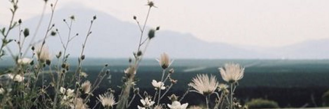 ayekenz's profile banner image