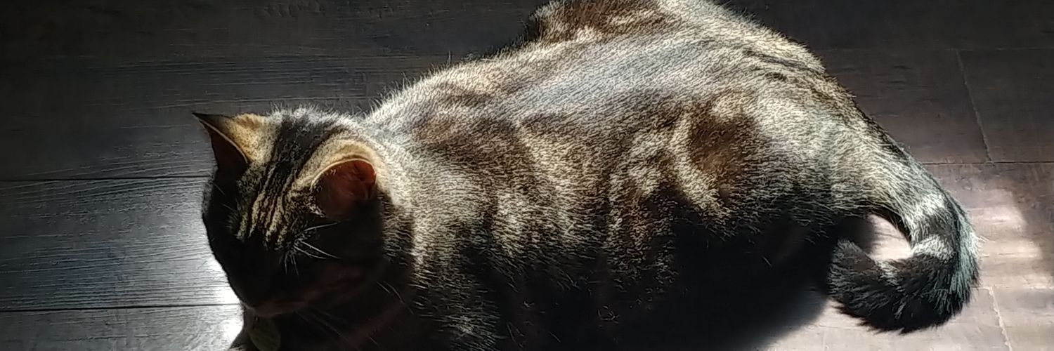 ramik5511's profile banner image