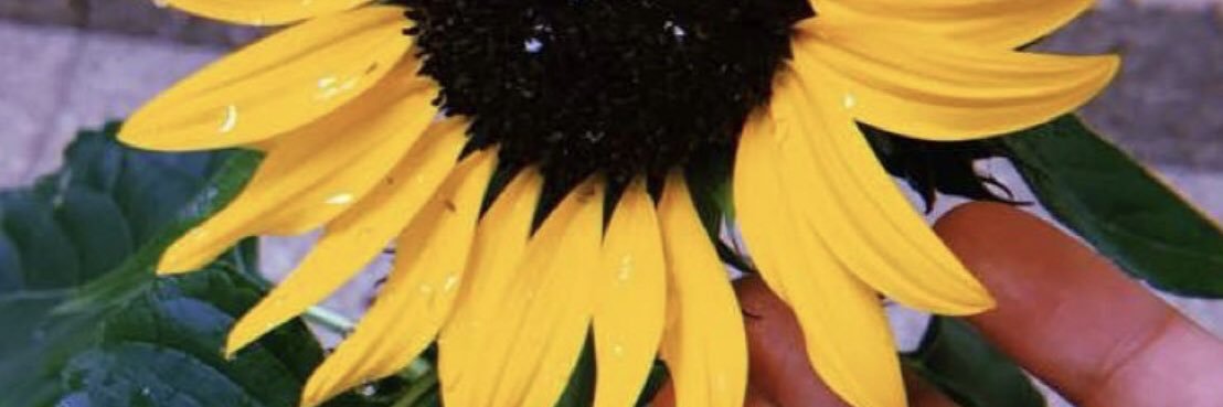 hadiazam_'s profile banner image