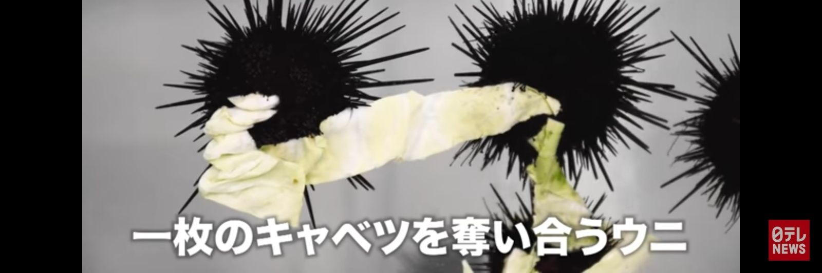 uni_unri's profile banner image