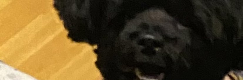 jshpmrs_'s profile banner image