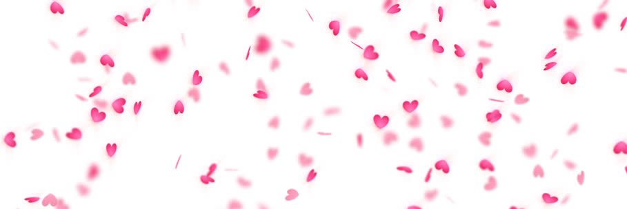 jendall_jenner's profile banner image