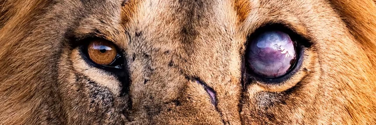 barretthenley5's profile banner image
