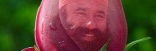 PammaMaster's profile banner image