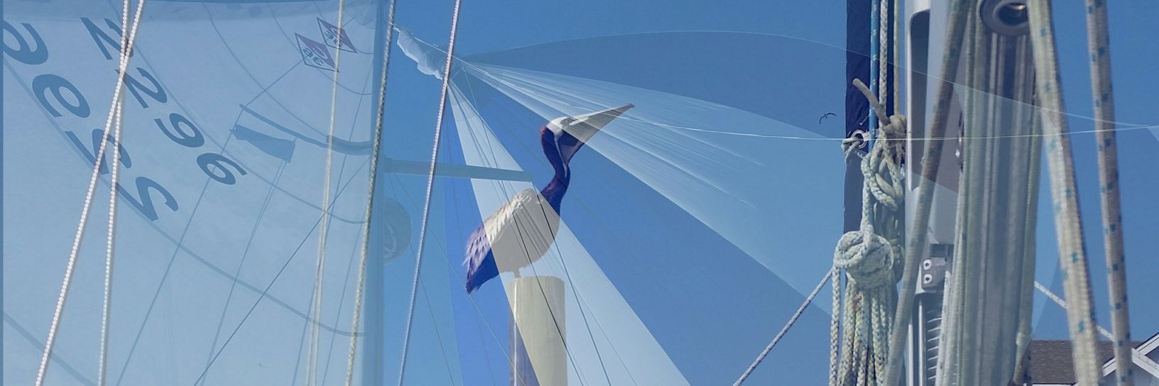SailWrite's profile banner image